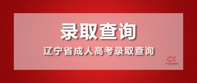 建筑工程玩球直播手机版登录