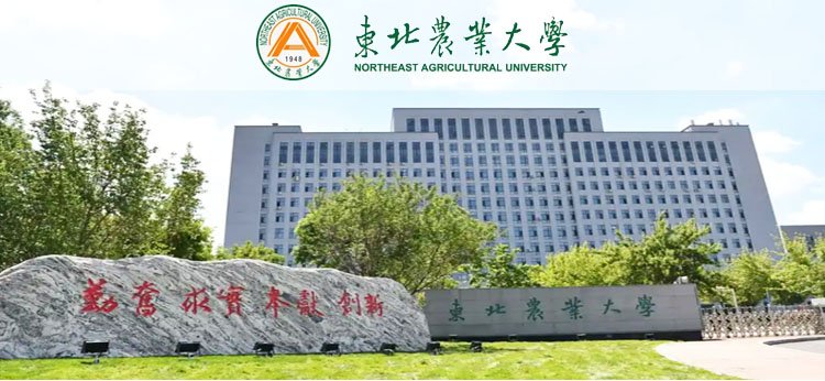相关玩球直播通知信息