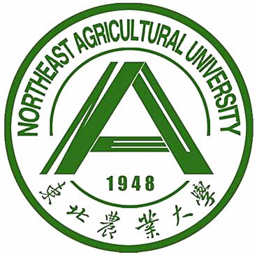 玩球直播