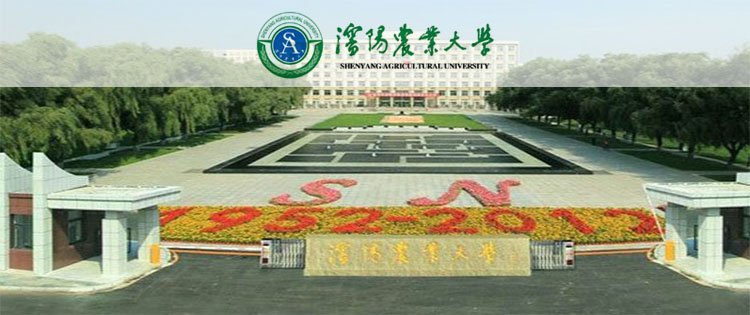 动物医学
