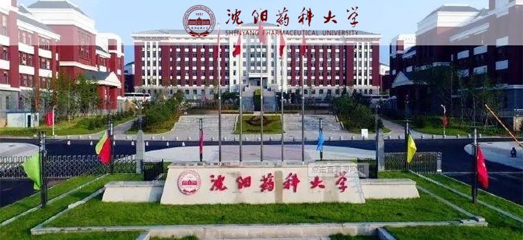 建筑工程玩球直播宣布成为多特蒙德官方