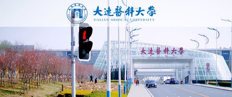 建筑工程玩球直播手机版登录