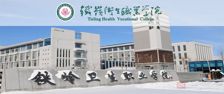 玩球直播手机版登录层次: 高起本 专升本