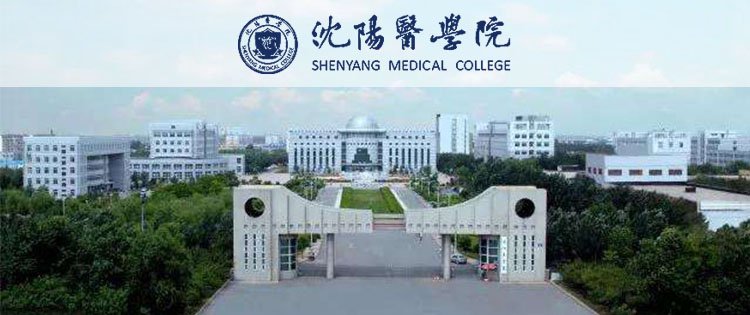 工程管理