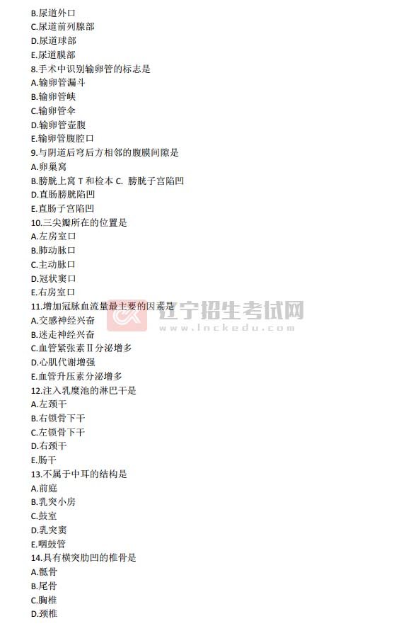 动物医学
